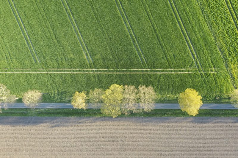 Lusftbild, Drohne, natur von oben, oliver saul fotografie