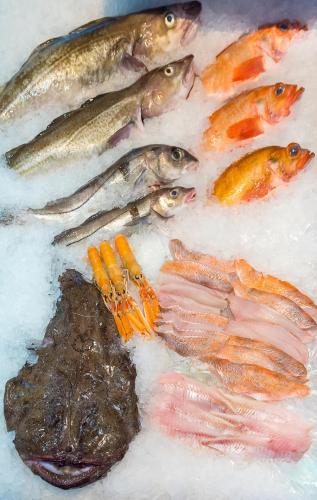 fish international 2022