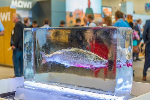 fish international 2022