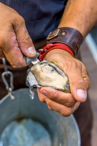 fish international 2022